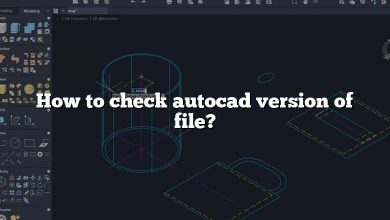 How to check autocad version of file?