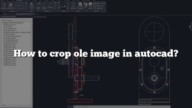 How to crop ole image in autocad?