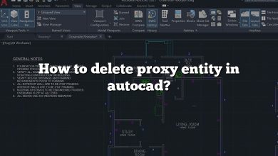 How to delete proxy entity in autocad?