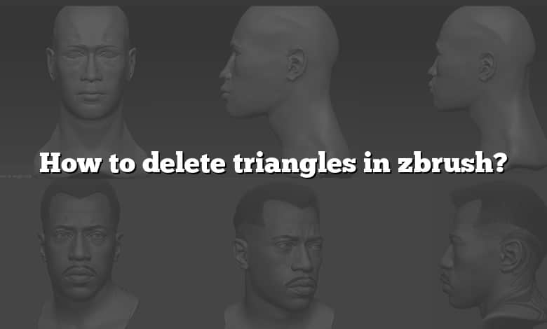 How to delete triangles in zbrush? - CADdikt