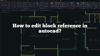 How to edit block reference in autocad?