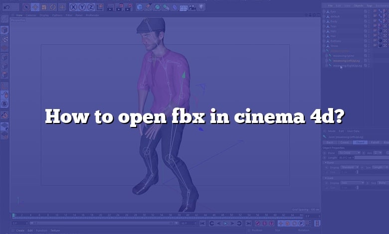 Open Fbw File How to open fbx in cinema 4d? - CADdikt