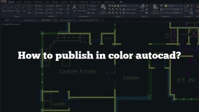 How to publish in color autocad?