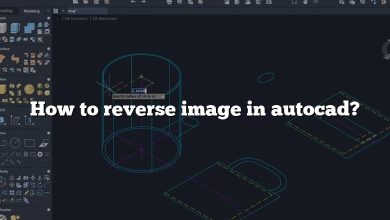 How to reverse image in autocad?