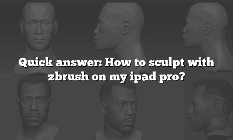 Quick answer: How to sculpt with zbrush on my ipad pro? - CADdikt