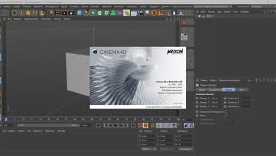 Why Maxon Cinema 4D 22 is Installed on Your PC