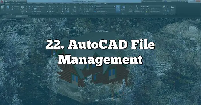 22. AutoCAD File Management