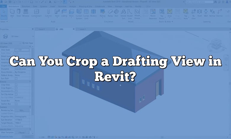 can-you-crop-a-drafting-view-in-revit-caddikt