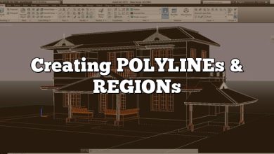 Creating POLYLINEs & REGIONs