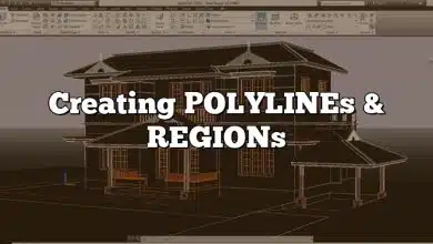 Creating POLYLINEs & REGIONs